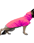 German Shepherd Raincoat