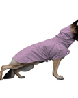 German Shepherd Raincoat