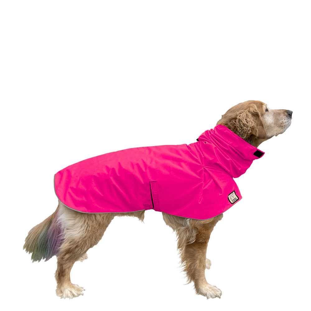 Golden Retriever Raincoat
