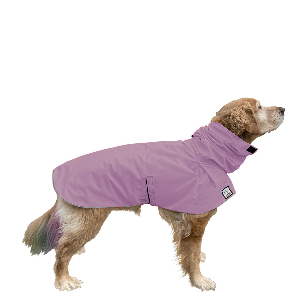 Golden Retriever Raincoat