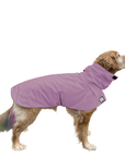 Golden Retriever Raincoat