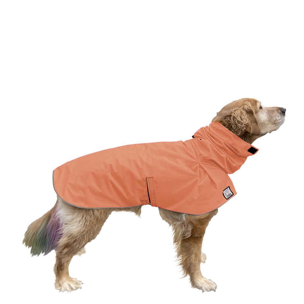Golden Retriever Raincoat