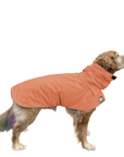 Golden Retriever Raincoat