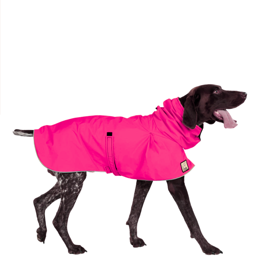 German Shorthaired Pointer Raincoat