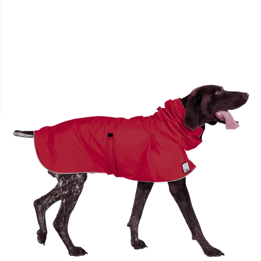 German Shorthaired Pointer Raincoat