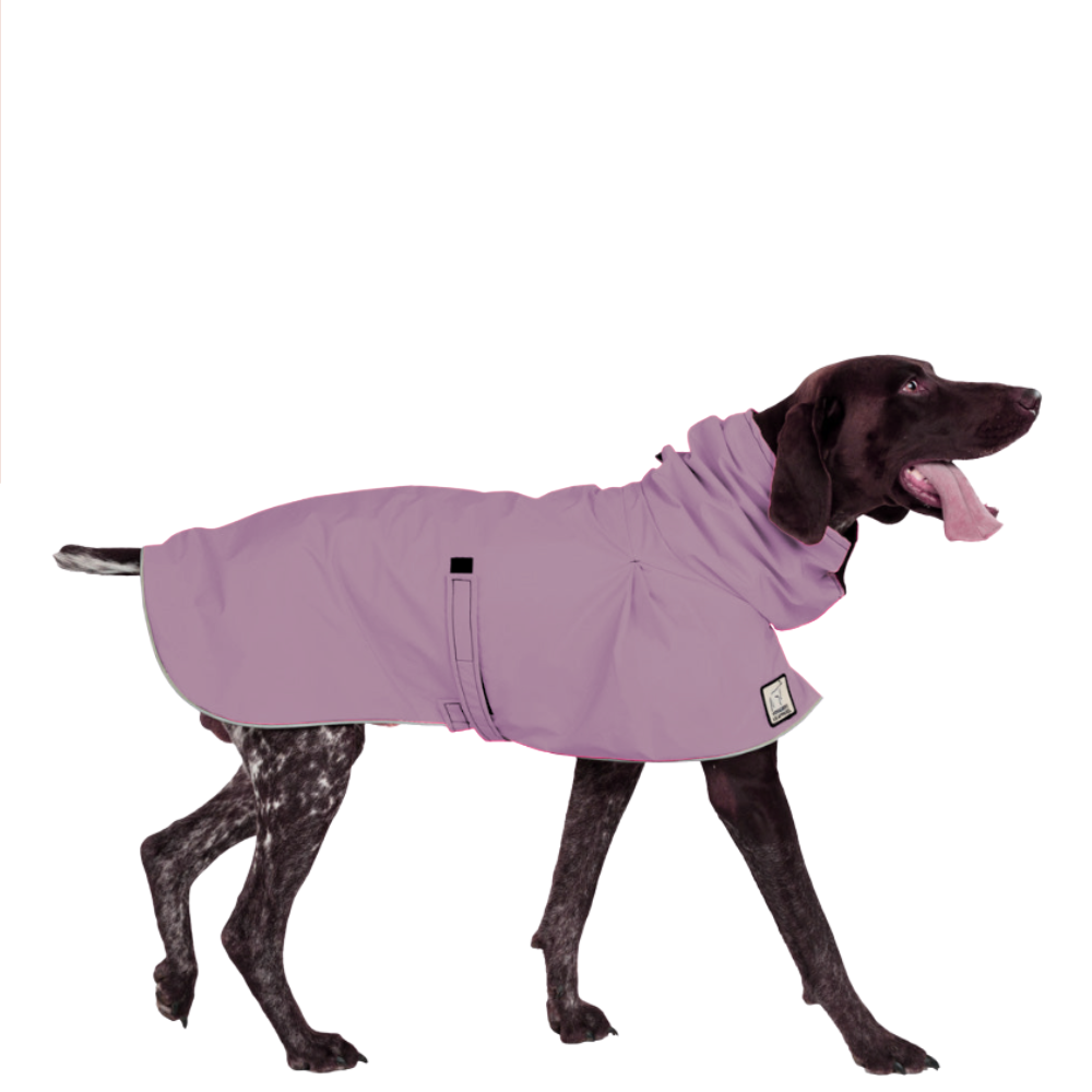 German Shorthaired Pointer Raincoat