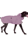German Shorthaired Pointer Raincoat