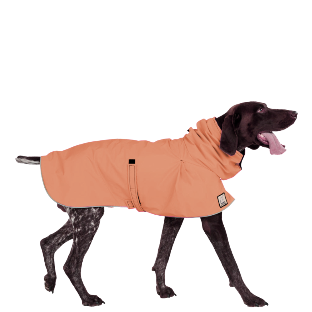 German Shorthaired Pointer Raincoat