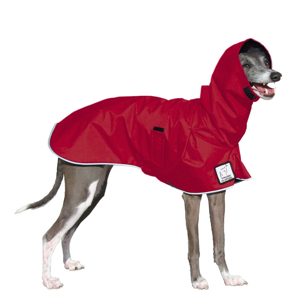 Italian Greyhound Raincoat