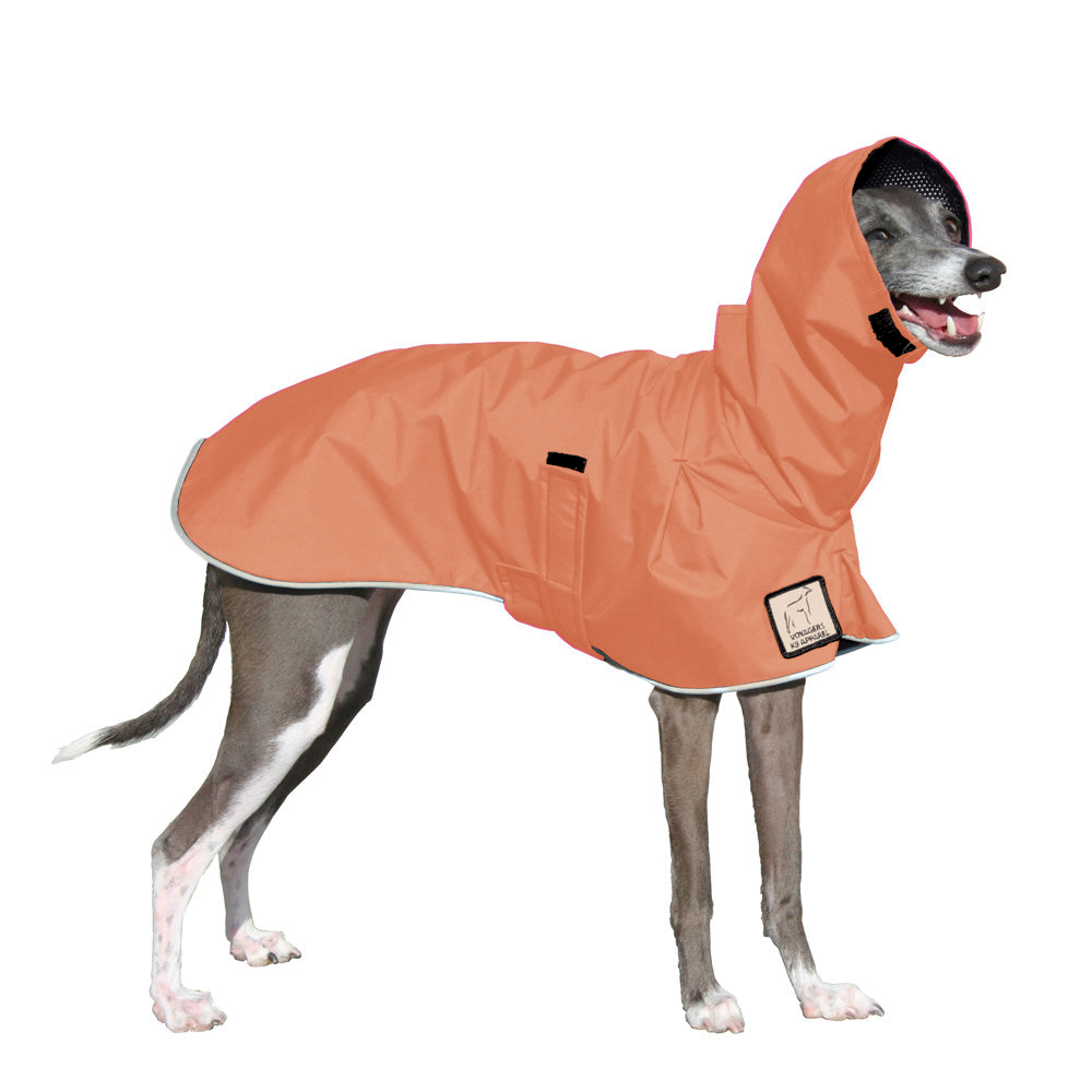 Italian Greyhound Raincoat