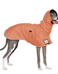 Italian Greyhound Raincoat