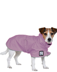 Jack Russell Terrier Raincoat