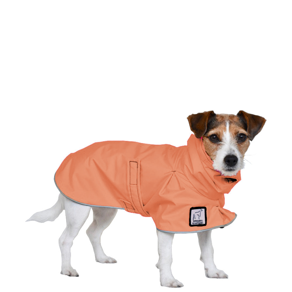 Jack Russell Terrier Raincoat