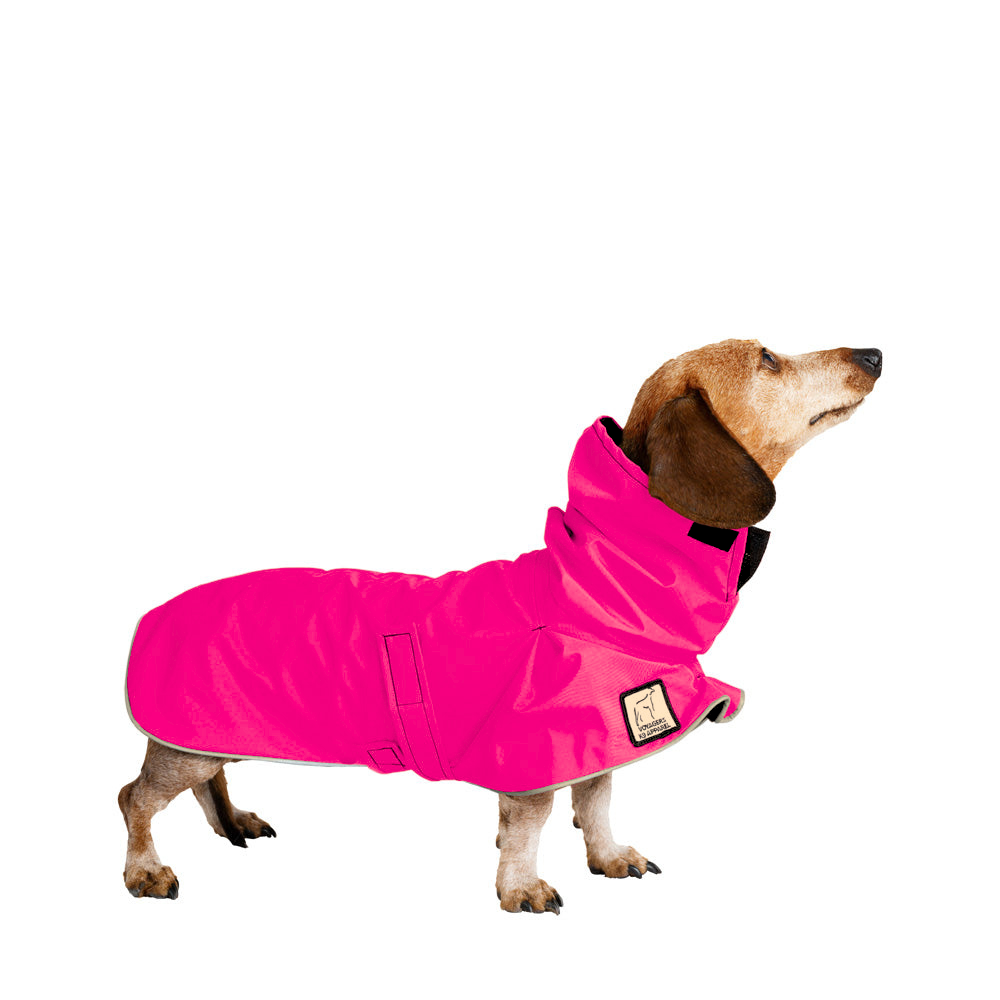 Miniature Dachshund Raincoat