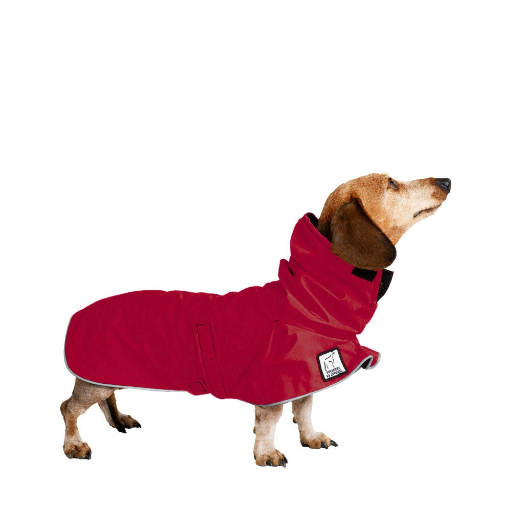 Miniature Dachshund Raincoat