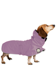 Miniature Dachshund Raincoat
