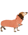 Miniature Dachshund Raincoat