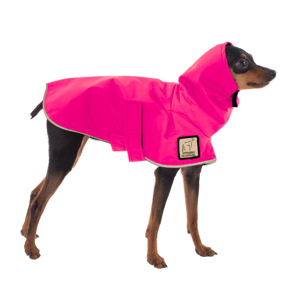 Miniature Pinscher Raincoat