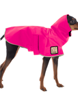 Miniature Pinscher Raincoat