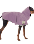 Miniature Pinscher Raincoat