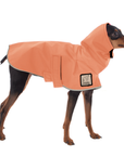 Miniature Pinscher Raincoat