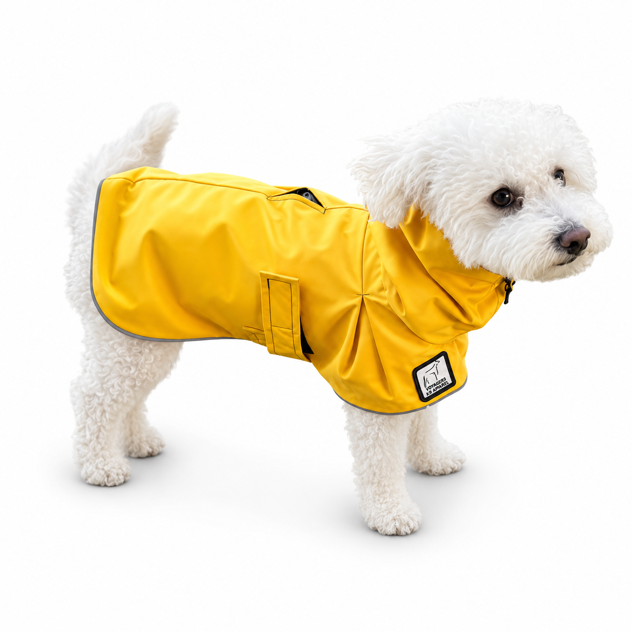 Miniature Poodle Raincoat