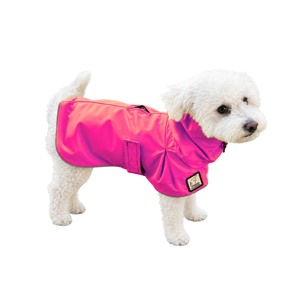 Miniature Poodle Raincoat