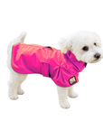 Miniature Poodle Raincoat