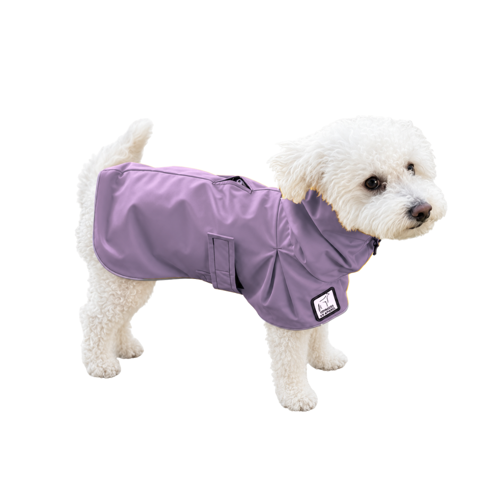 Miniature Poodle Raincoat