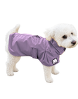 Miniature Poodle Raincoat