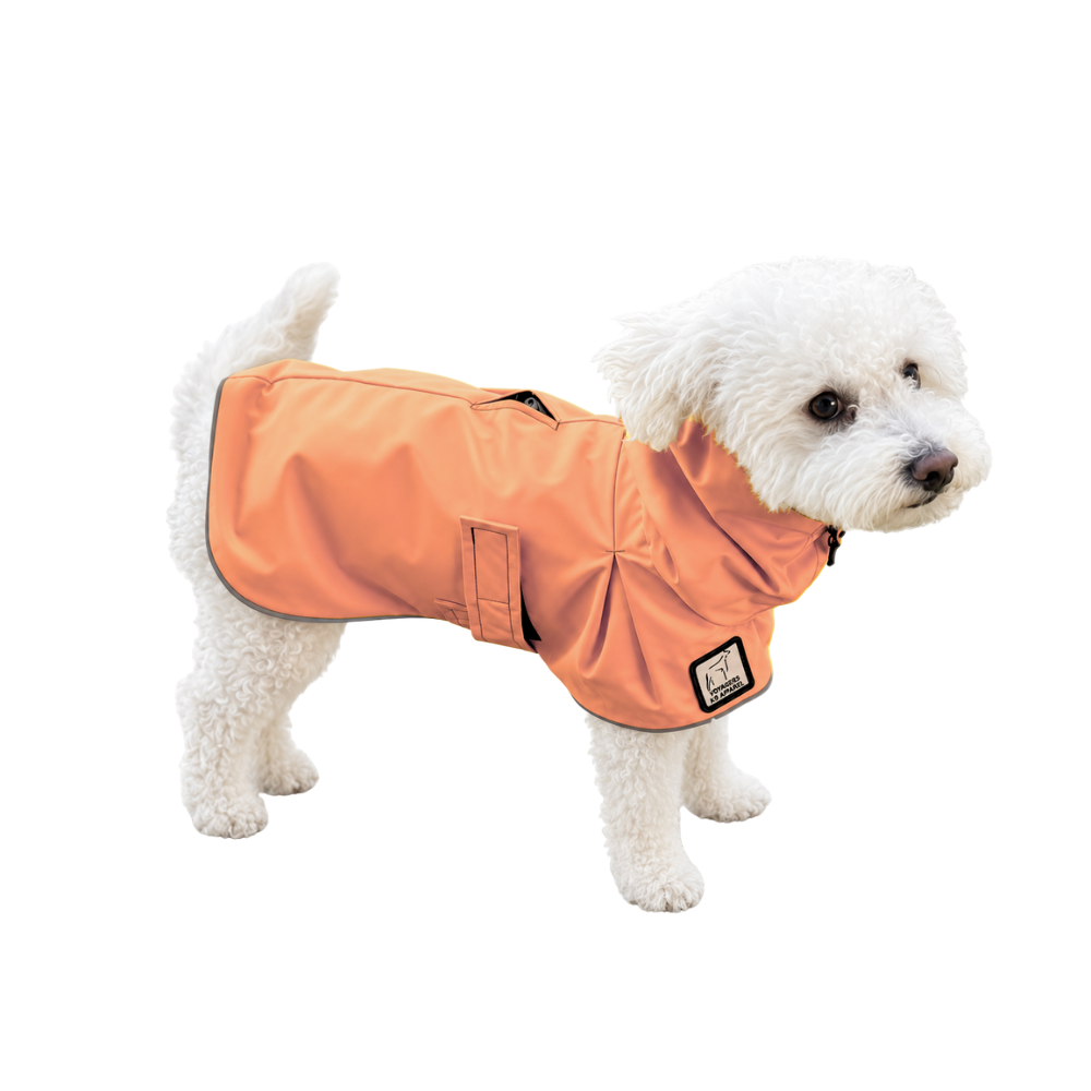 Miniature Poodle Raincoat
