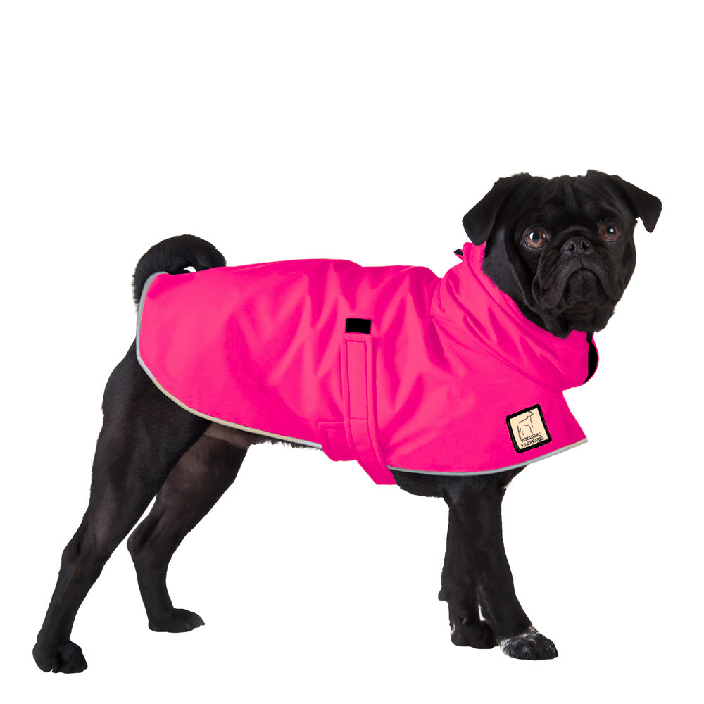Pug Raincoat