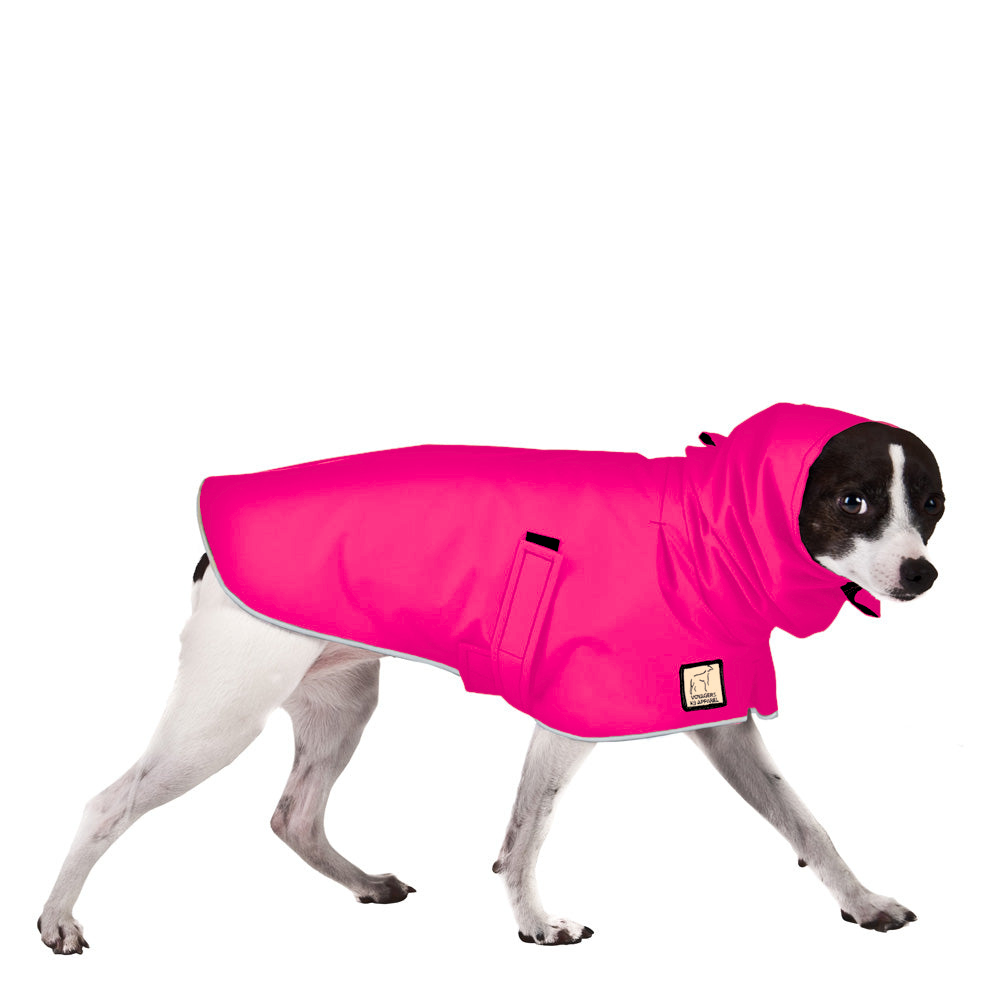 Rat Terrier Raincoat