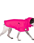 Rat Terrier Raincoat