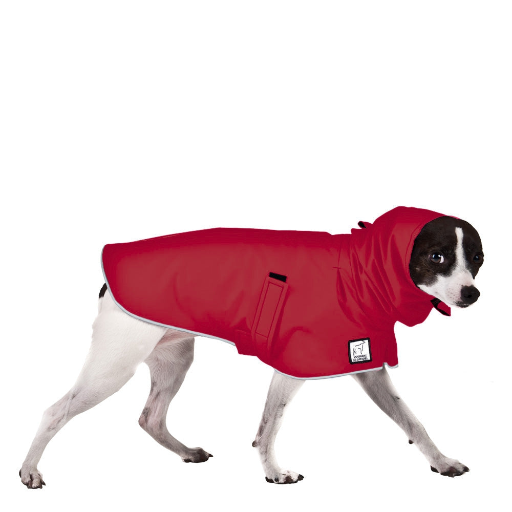 Rat Terrier Raincoat