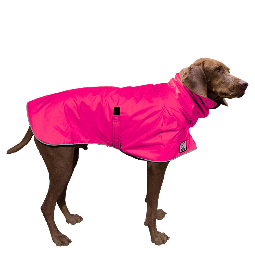 Vizsla Raincoat