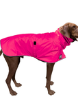 Vizsla Raincoat