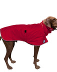 Vizsla Raincoat