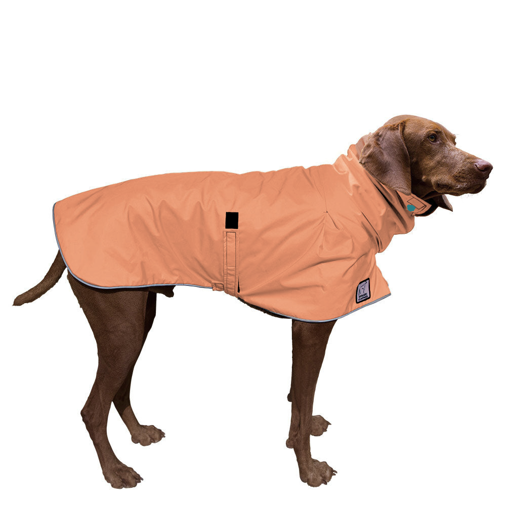 Vizsla Raincoat