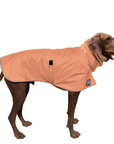 Vizsla Raincoat