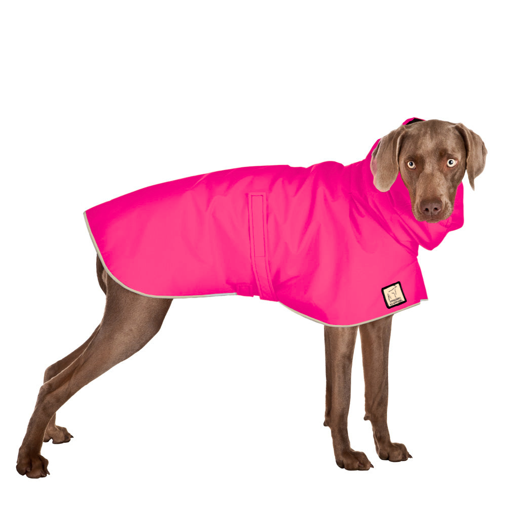 Weimaraner Raincoat