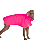 Weimaraner Raincoat