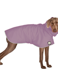 Weimaraner Raincoat