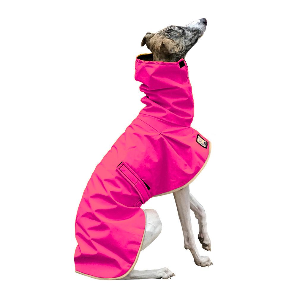 Whippet Raincoat