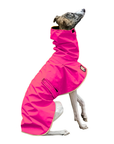 Whippet Raincoat