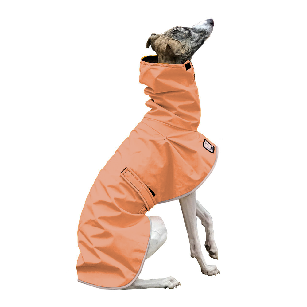 Whippet Raincoat