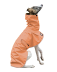 Whippet Raincoat