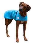 Rhodesian Ridgeback Cooling Coat