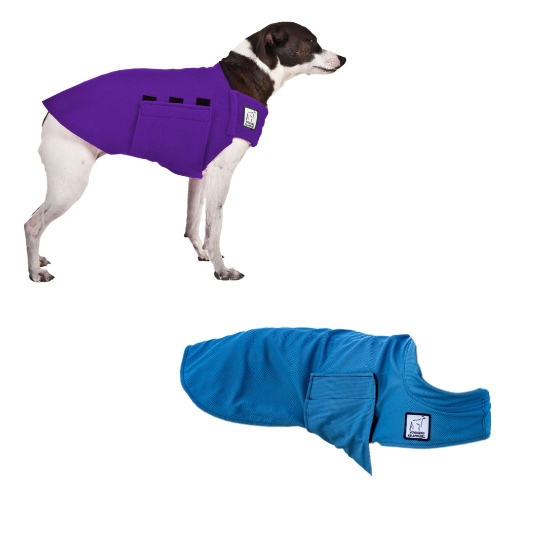 Rat Terrier Hiker Bundle