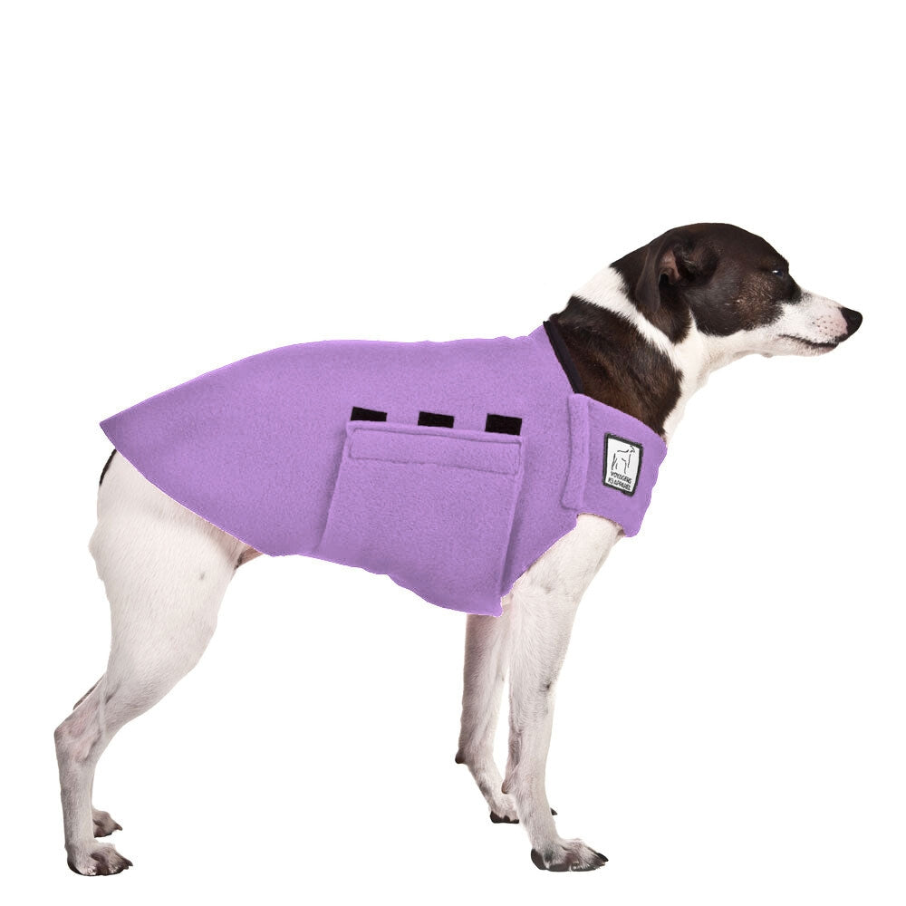Rat Terrier Tummy Warmer